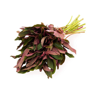 Red Foliage (200g)