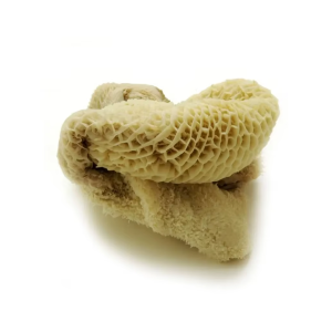 Tripes (1kg)